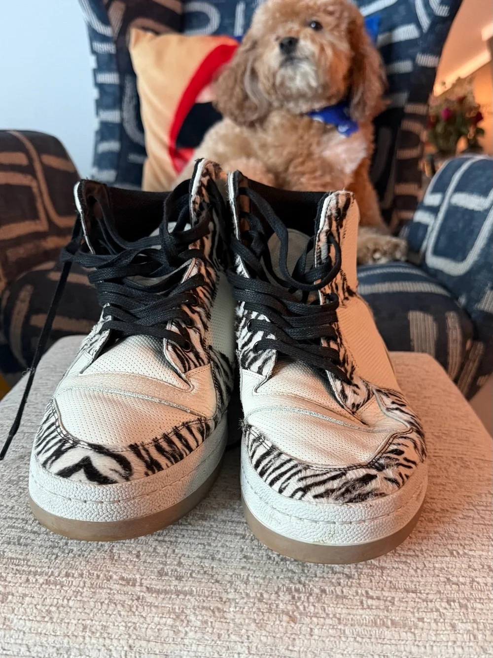 Saint Laurent White and Black Zebra-Print High-Top Sneakers